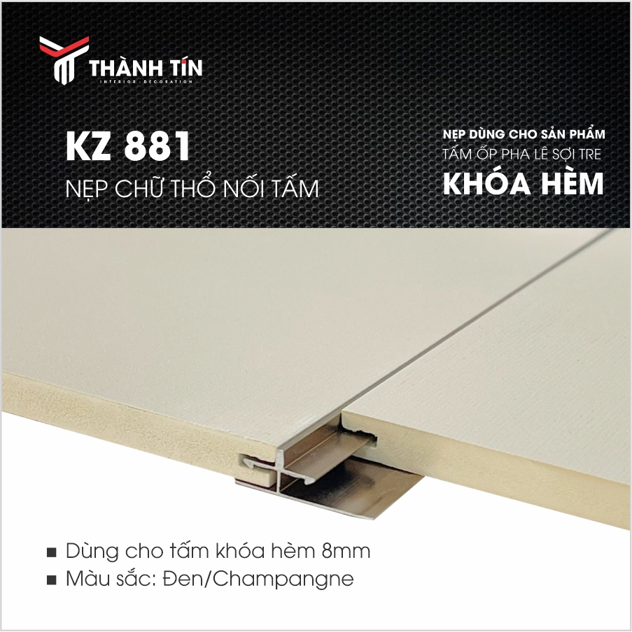 Nẹp hợp kim Titan Thành Tín