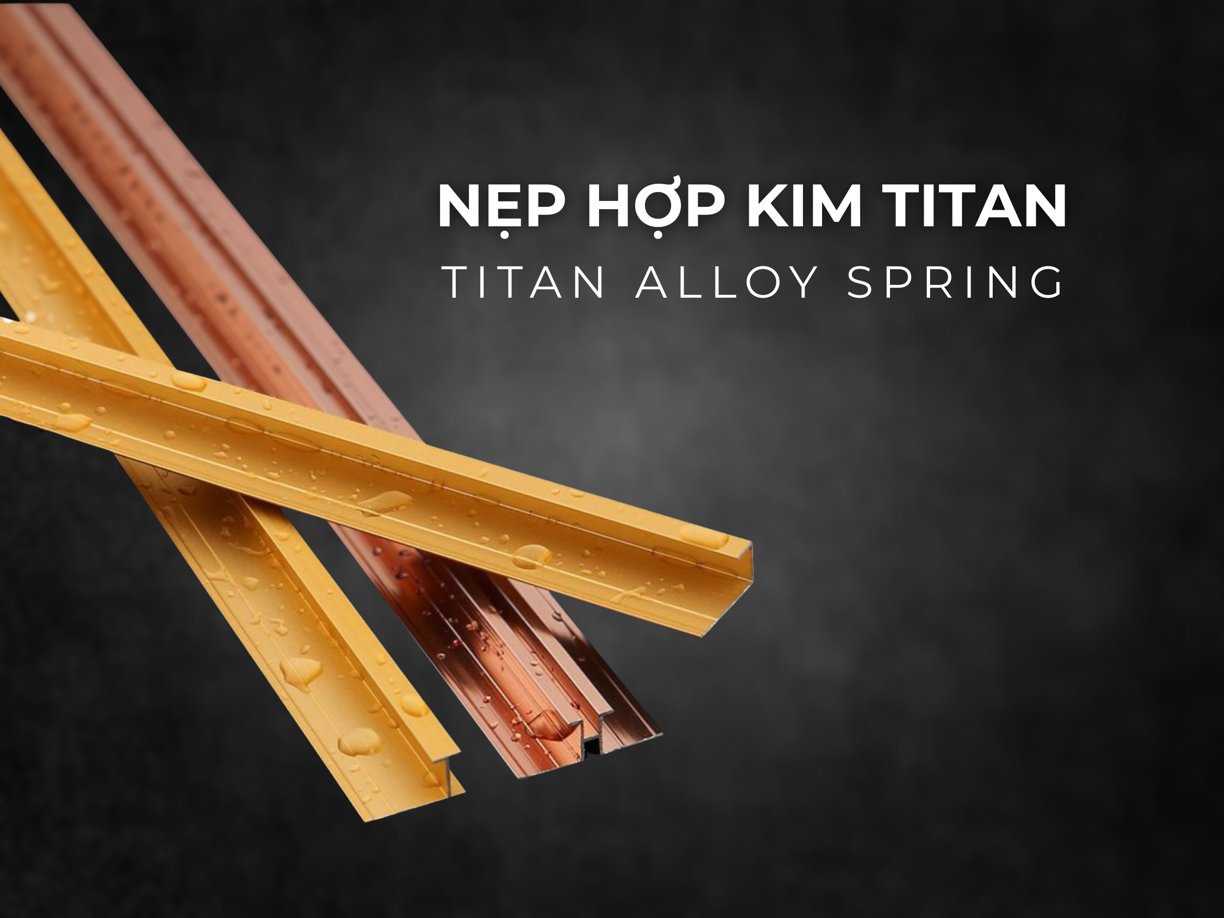 Nẹp hợp kim Titan