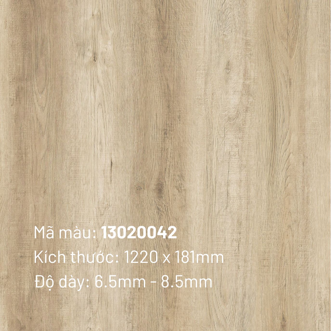 Sàn nhựa SPC TT-Floor 13020042