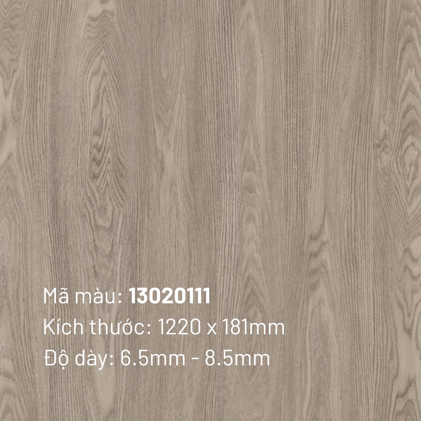 Sàn nhựa SPC TT-Floor 13020111